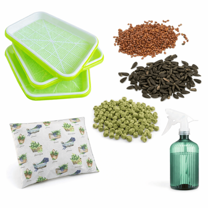 Startovací sada microgreens pro začátečníky (Vyhonky.cz)