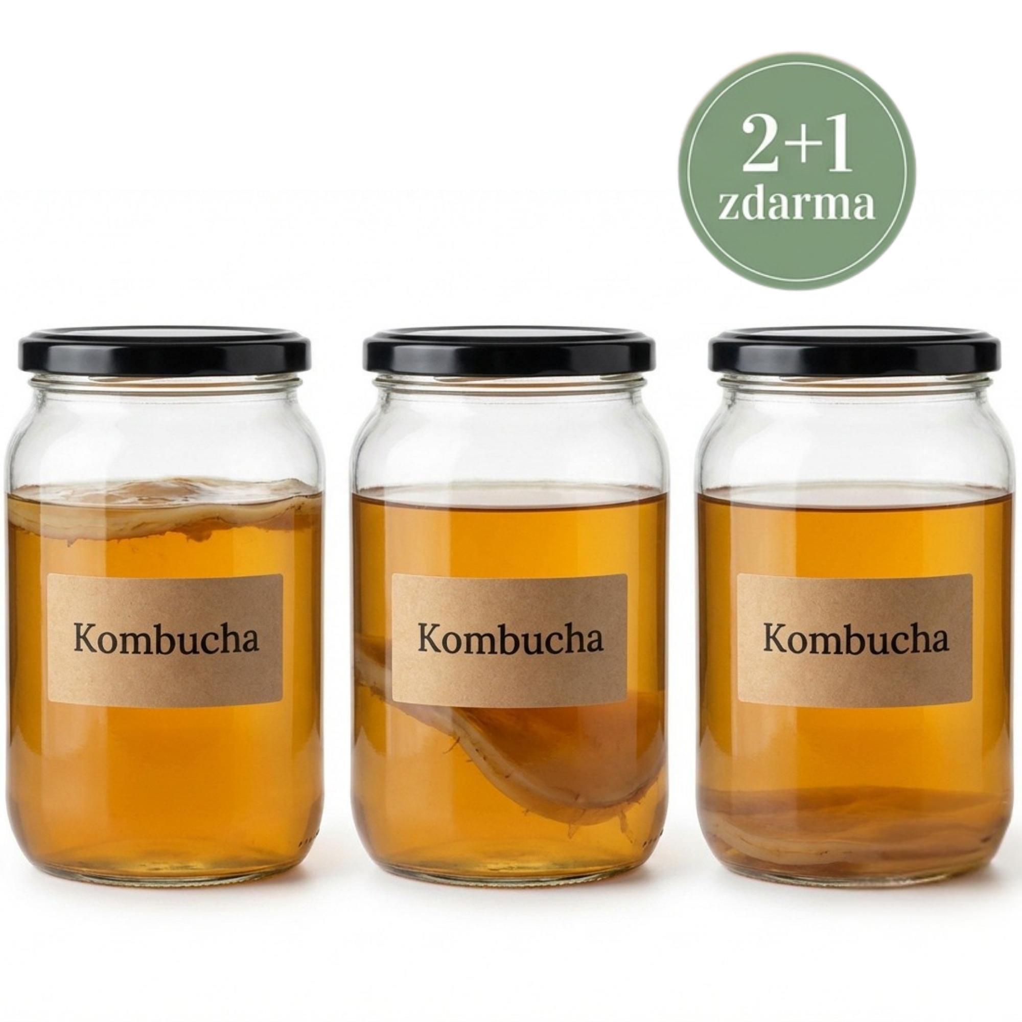 Balíček Kombucha SCOBY 2+1 zdarma