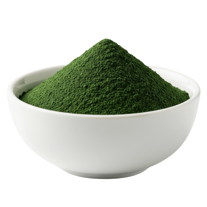 BIO Chlorella prášek 100 g