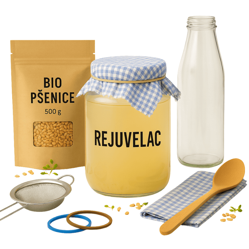 Rejuvelac – startovací sada pro začátečníky