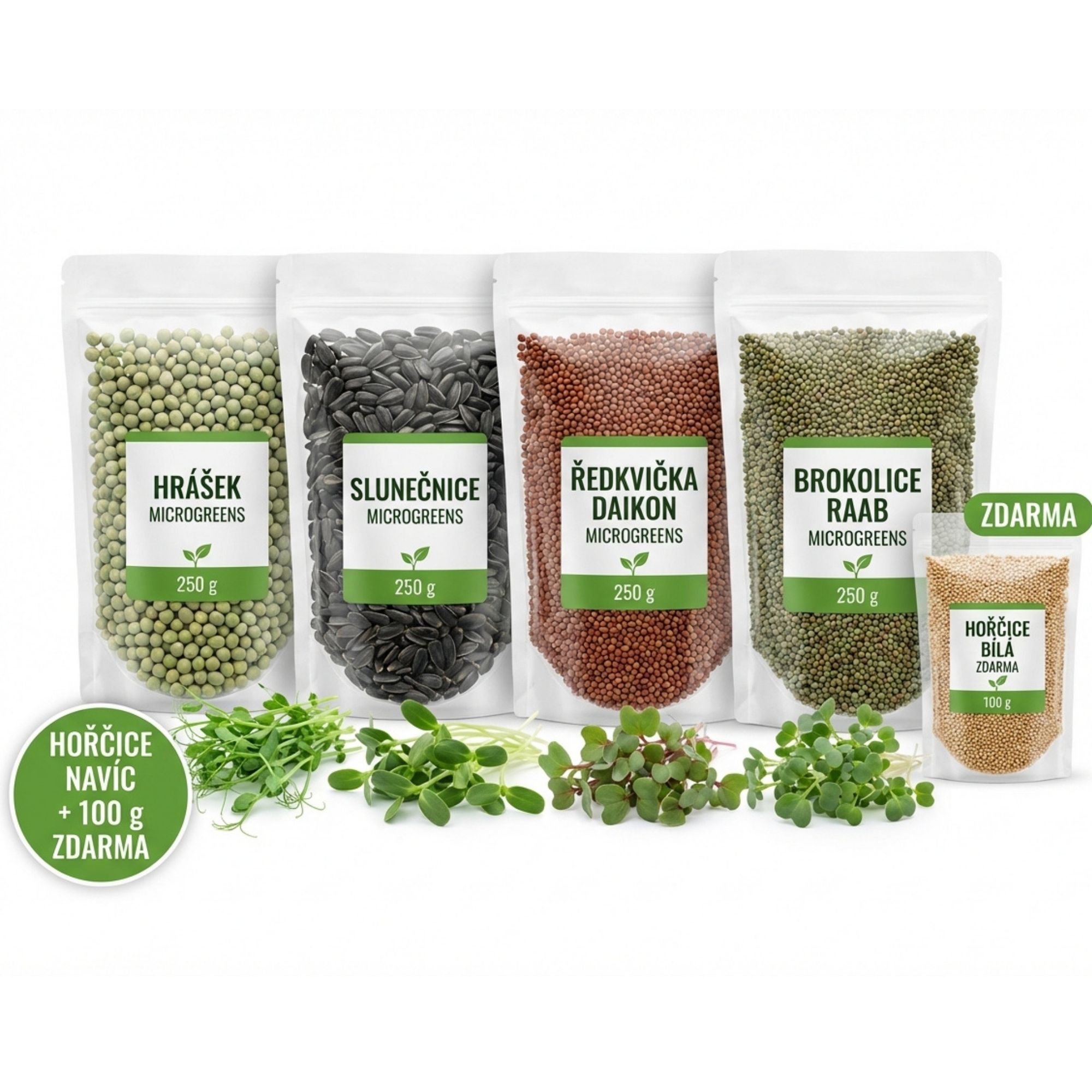 Semínka microgreens pro začátečníky