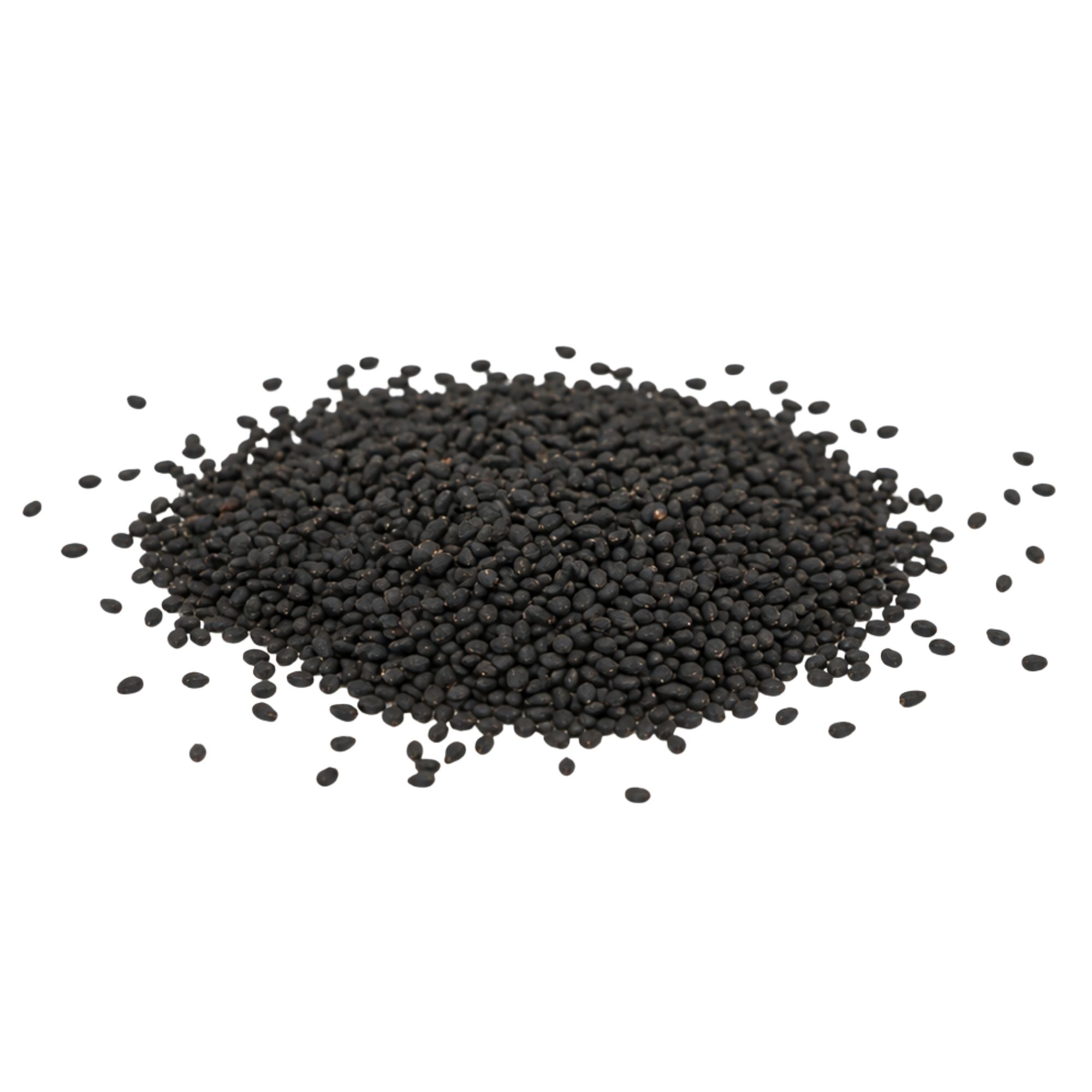 Bazalka zelená BIO microgreens — italská semínka