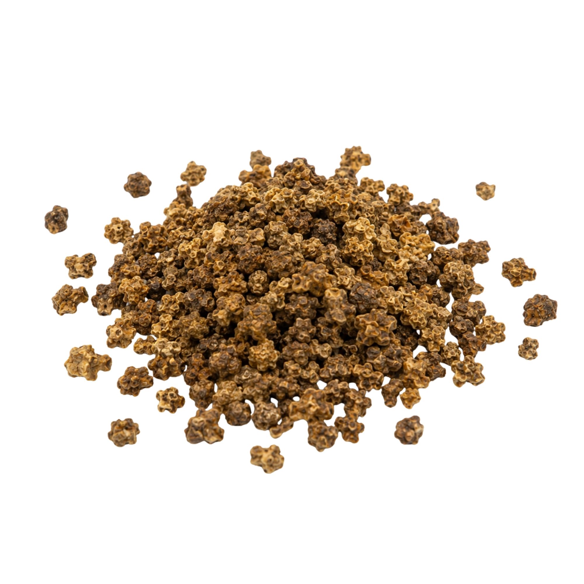 Řepa červená Bull's Blood microgreens BIO — semínka