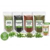 Semínka microgreens pro začátečníky