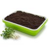 miska a hlina pro microgreens