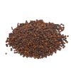 Kedlubna červená microgreens – semínka (Cavolo Rapa Rosso) – Vyhonky.cz