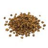 Semínka řepy červené Bull’s Blood pro pěstování microgreens