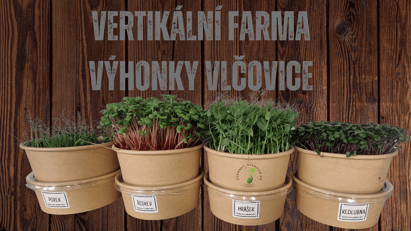 bedýnka výhonků