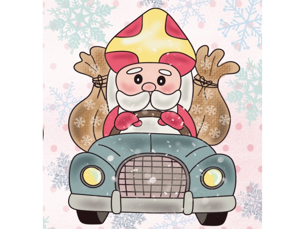 Vykrajovátko Mikuláš v autě  #2310