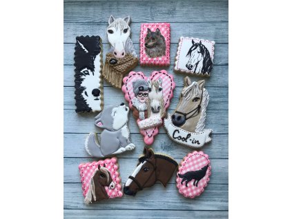 353B5515 0F30 47C6 A209 801DF11F20DB