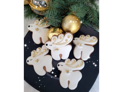 WhatsApp Image 2022 10 17 at 15.31.29