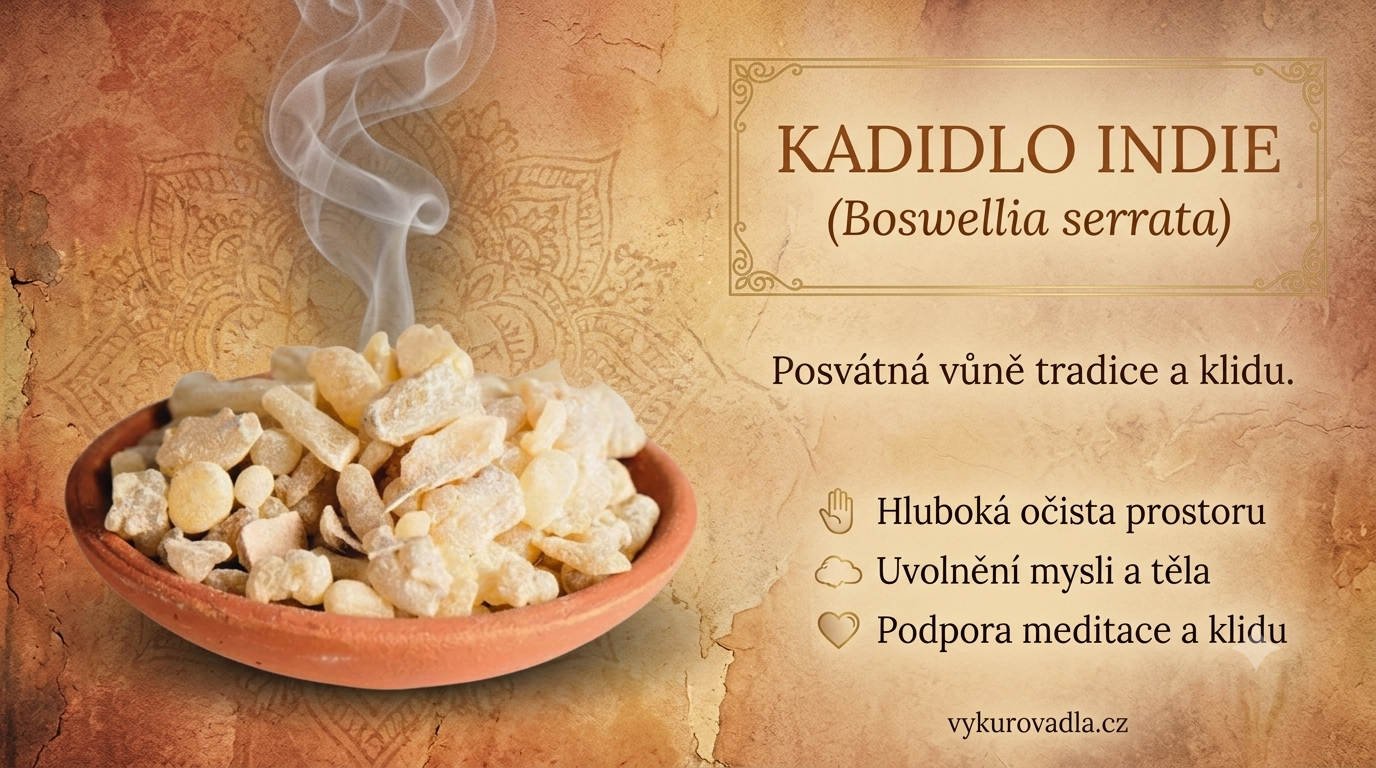 Kadidlo Indie Boswellia serrata 20 g