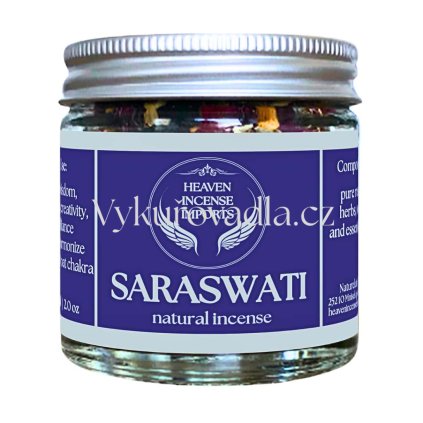 saraswati web