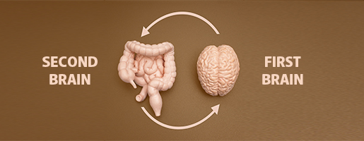 30487_515x200_obr1_final