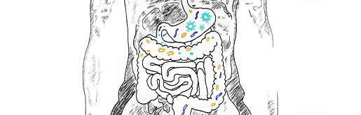 30487_515x275_obr6_final2