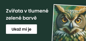 category_banner_big_mobile