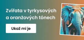 category_banner_big_mobile