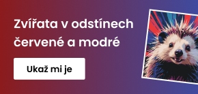 category_banner_big_mobile