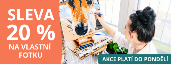 homepage_banner_left_mobile primary