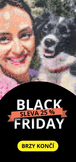 category_banner_small primary