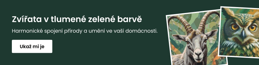 category_banner_big