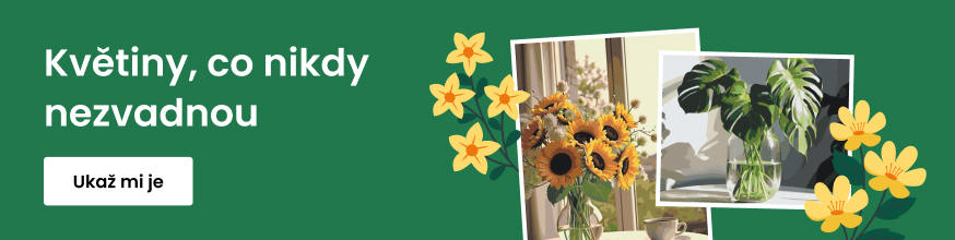 category_banner_big