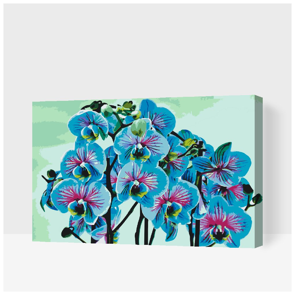 Malování podle čísel - Modrá orchidej