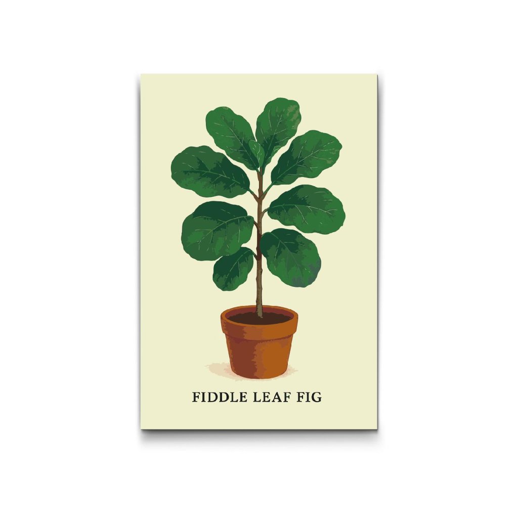 Malovani_podle_cisel_Ficus_lyrata_Fiddle_Leaf_Fig_M2