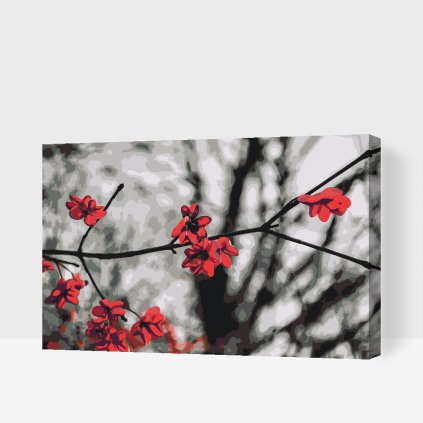 Malování podle čísel - Červené květy na stromě