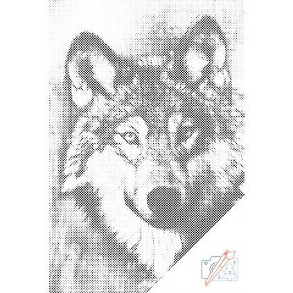 Tečkování - Ilustrace vlka
