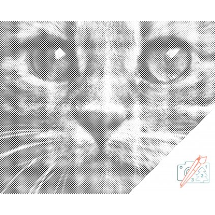 Tečkování - Pohled kočky