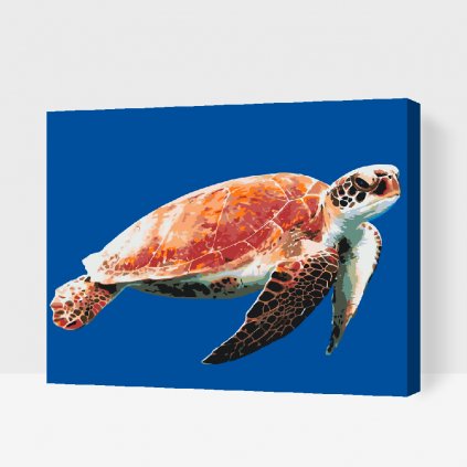Malování podle čísel - Mořská želva