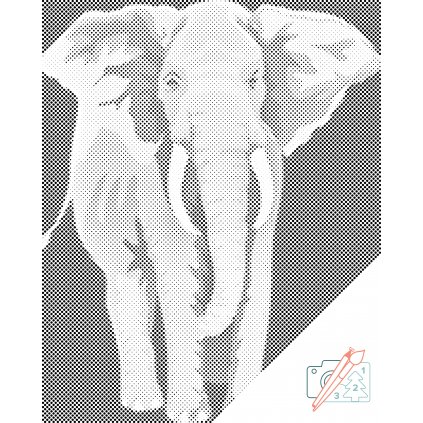 Tečkování - Slon