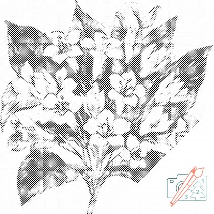 Tečkování - Kytice květin