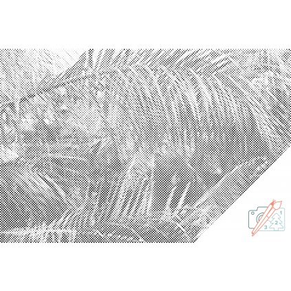 Tečkování - Palmové listy