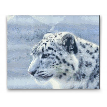 Diamantové malování - Bílý leopard