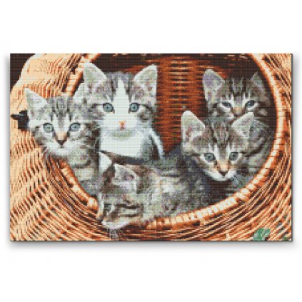 Diamantové malování -  Kočky v košíku