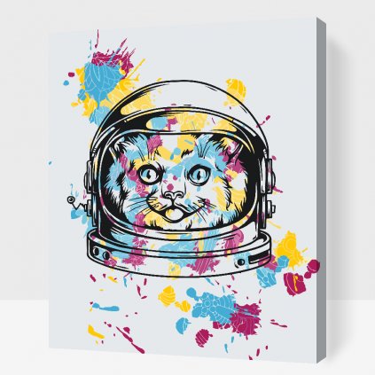 Malování podle čísel - NASA kočka