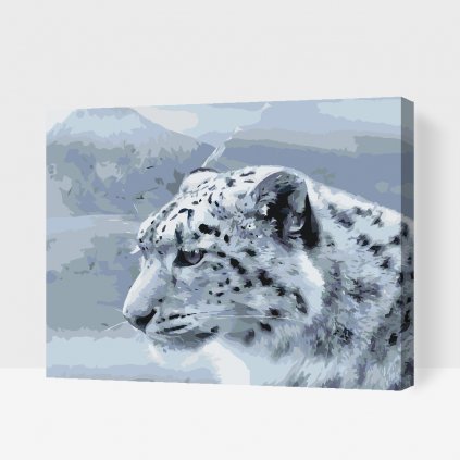 Malování podle čísel - Bílý leopard