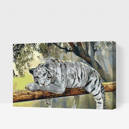 Malování podle čísel - Bílý tygr