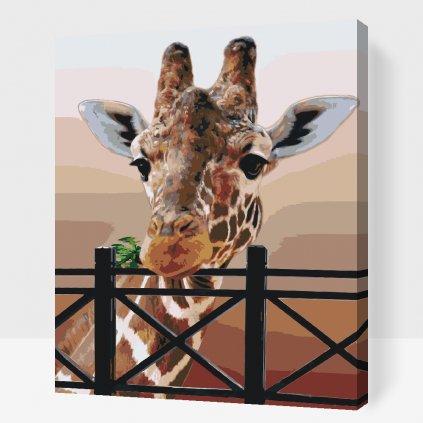 Malování podle čísel - Žirafa