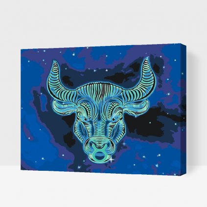 Malování podle čísel - Býk/Taurus