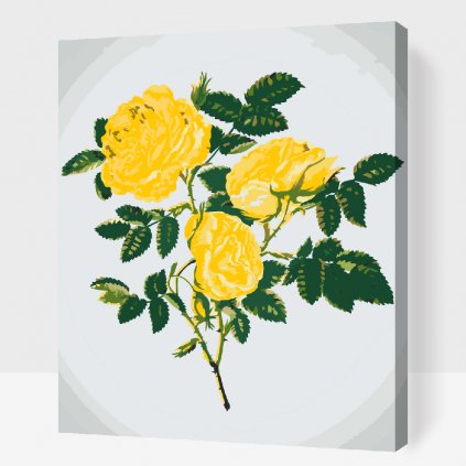 Malování podle čísel - Divoké žluté růže