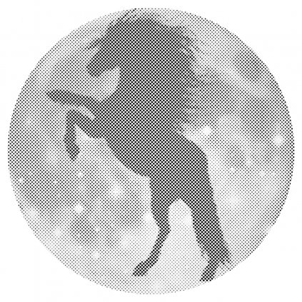 Silueta koně na Měsíci Kulatá