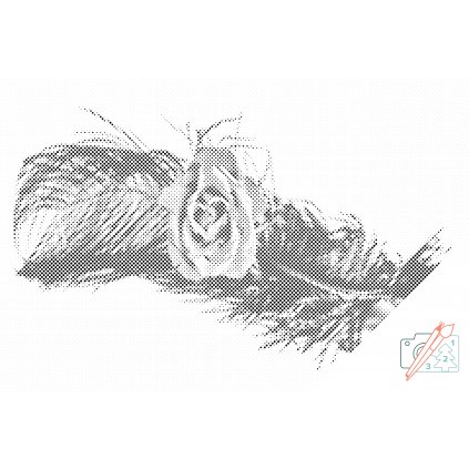 Tečkování - Ruža na pierku (Barva teček Červená, Rámování Na dřevěné desce, Velikost 40x60cm)