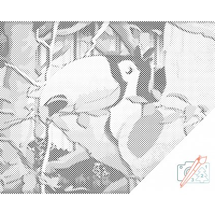 Tečkování - Tukan (Barva teček Červená, Rámování Na dřevěné desce, Velikost 40x50cm)
