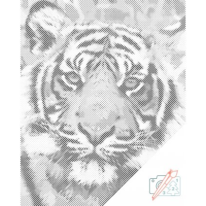 Tečkování - Tygří hlava 2 (Barva teček Červená, Rámování Na dřevěné desce, Velikost 40x50cm)