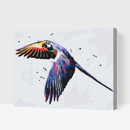 Malování podle čísel - Letící papoušek