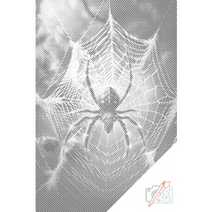 Tečkování - Pavouk v síti