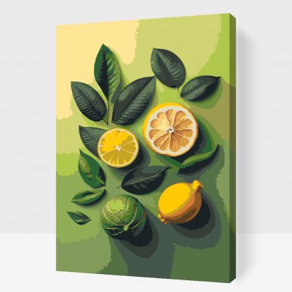 Malování podle čísel - Citrusové pozadí
